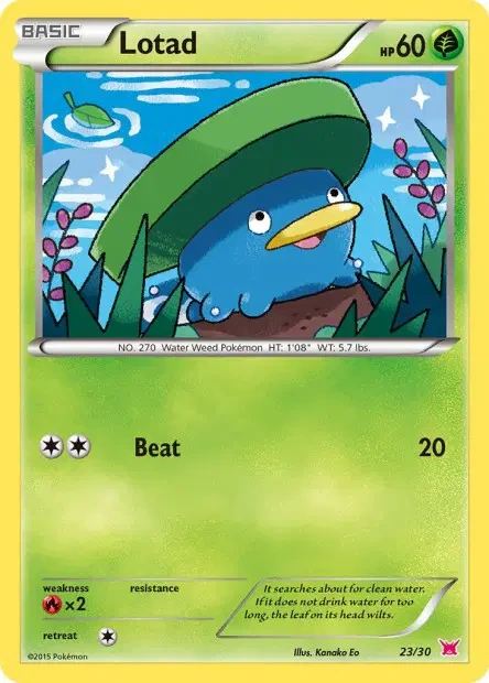 Lotad 23/030