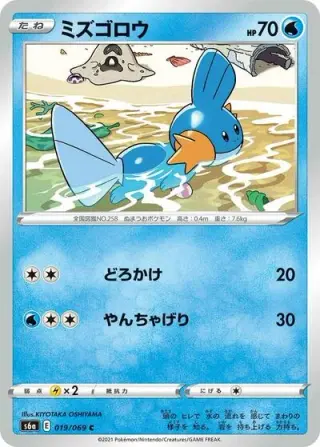 Mudkip 019/069