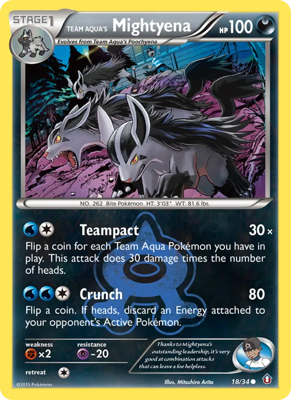 Team Aqua's Mightyena 18/034
