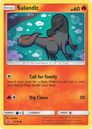 Salandit 13/070