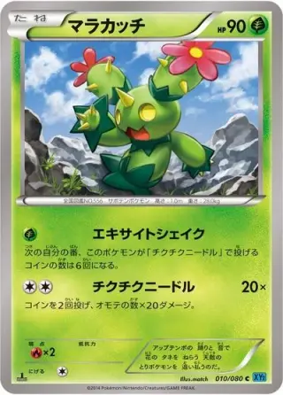 Maractus 010/080