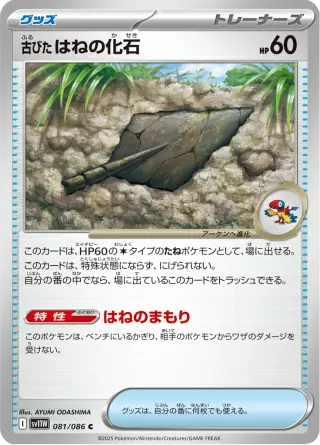 古びたはねの化石 081/086