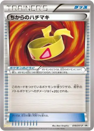 Muscle Band 019/XY-P
