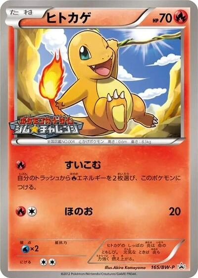 Charmander 165/BW-P