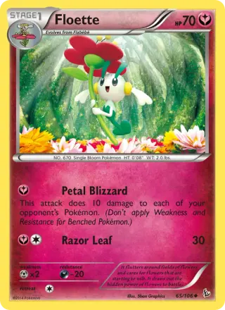 Floette 65/106