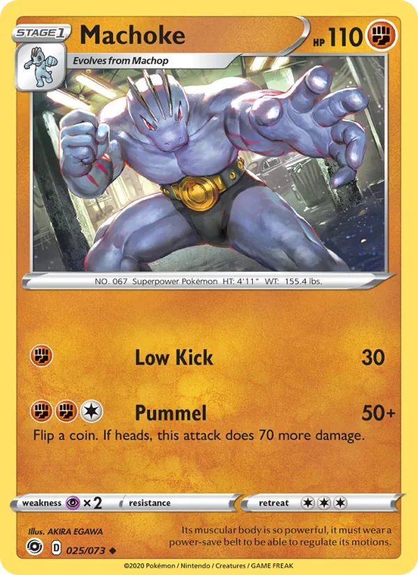Machoke 25/073