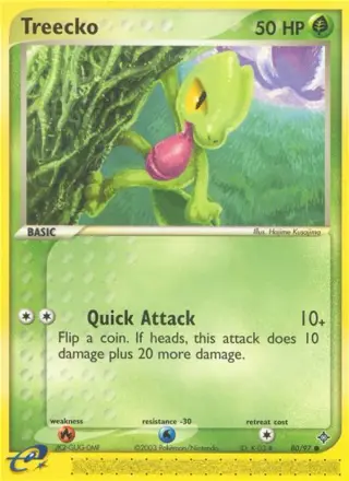 Treecko 80/097