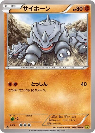 Rhyhorn 029/070