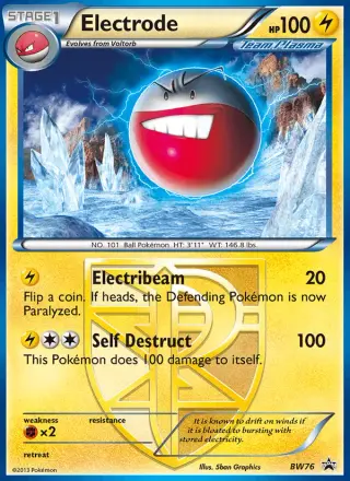 Electrode BW76/101