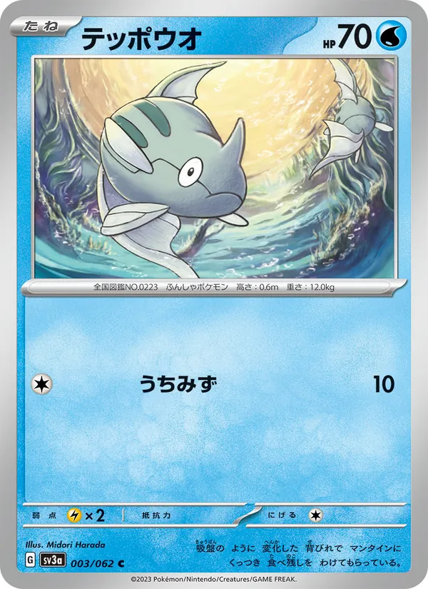 テッポウオ 003/062