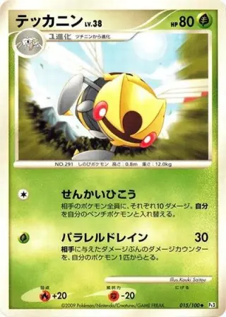 Ninjask 015/100