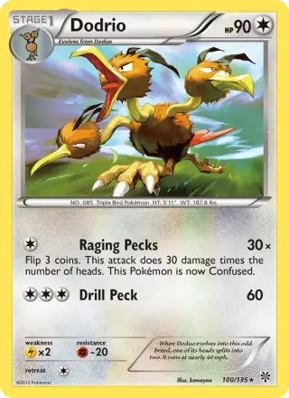 Dodrio 100/135