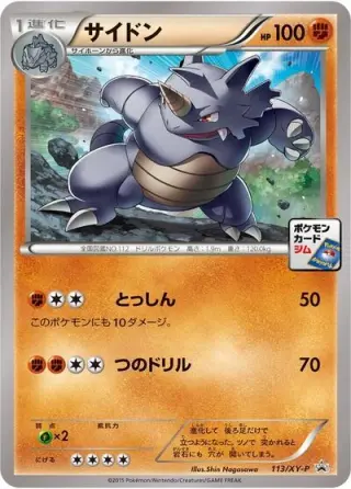 Rhydon 113/XY-P