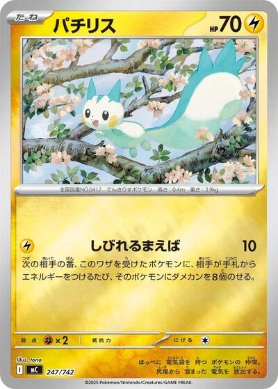 Pachirisu 247/742
