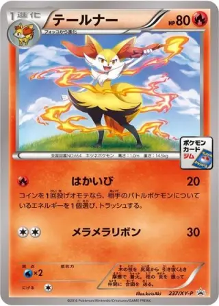 Braixen 237/XY-P
