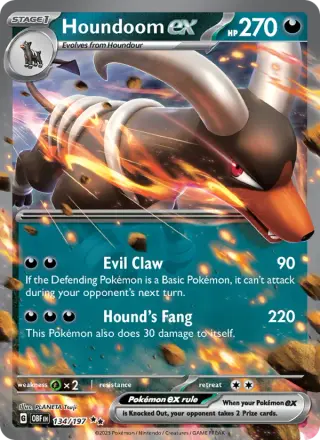 Houndoom ex 134/197