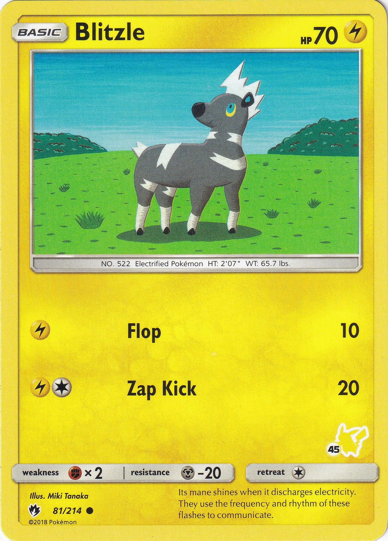 Blitzle 081/214 (Pikachu stamp 45)