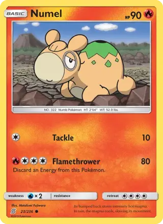 Numel 23/236