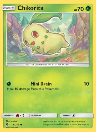 Chikorita 6/214
