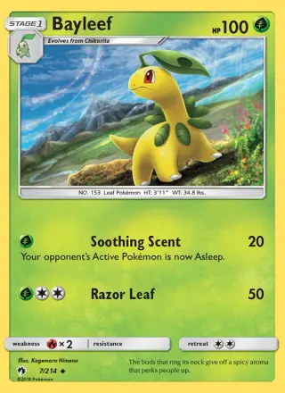 Bayleef 7/214