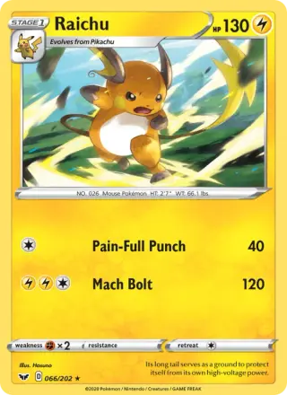 Raichu 66/202