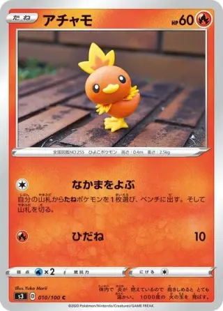 Torchic 010/100
