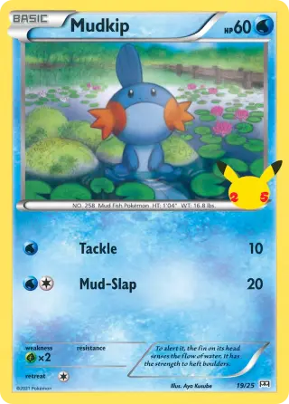 Mudkip 19/025