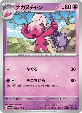 ナカヌチャン 042/073