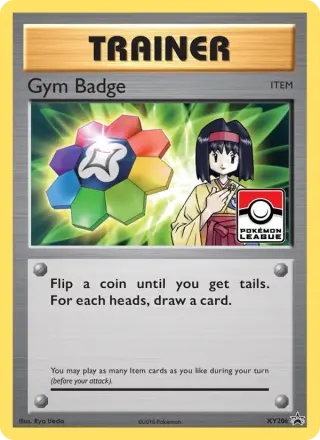 Gym Badge XY206/211
