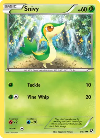 Snivy 1/114