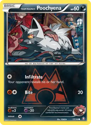 Team Magma's Poochyena 17/034