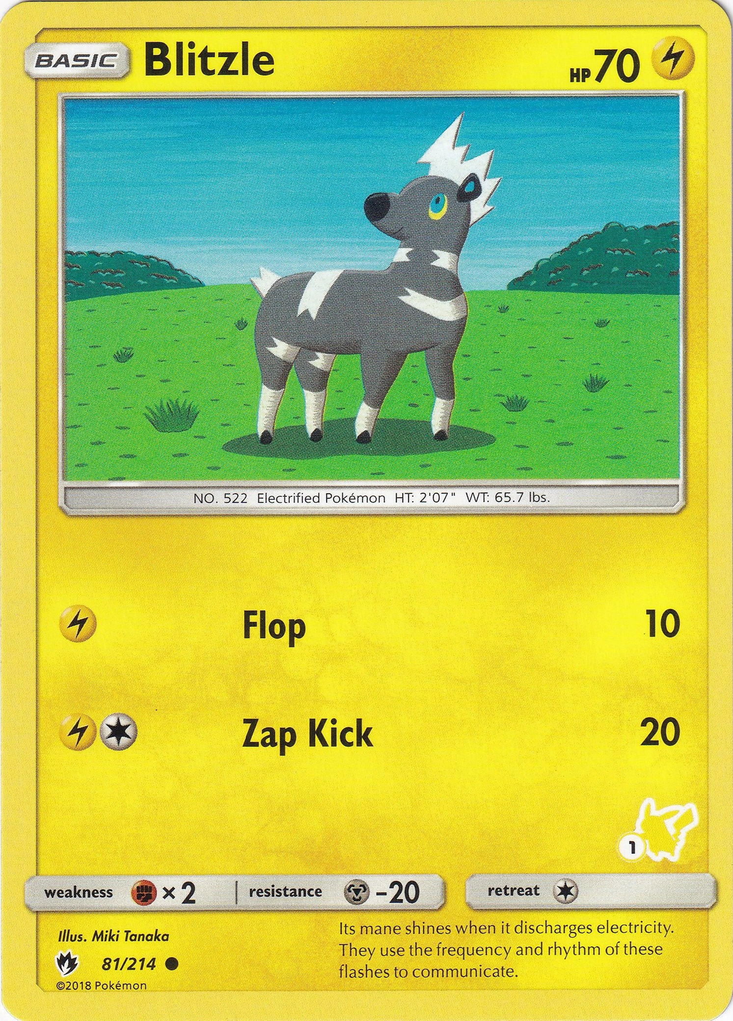 Blitzle 081/214 (Pikachu stamp 1)