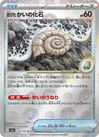 古びたかいの化石 154/165